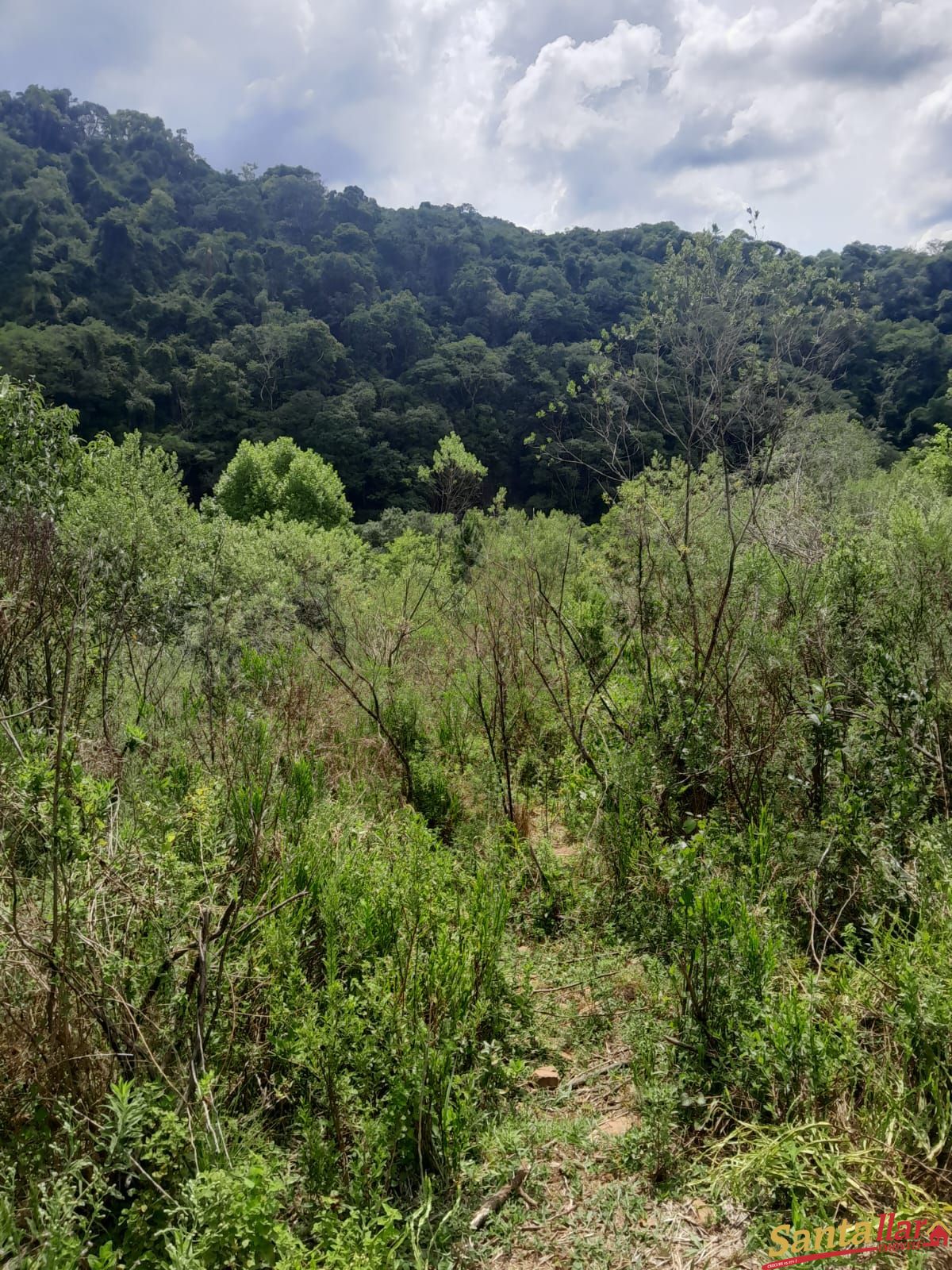 Fazenda à venda, 110000m² - Foto 6