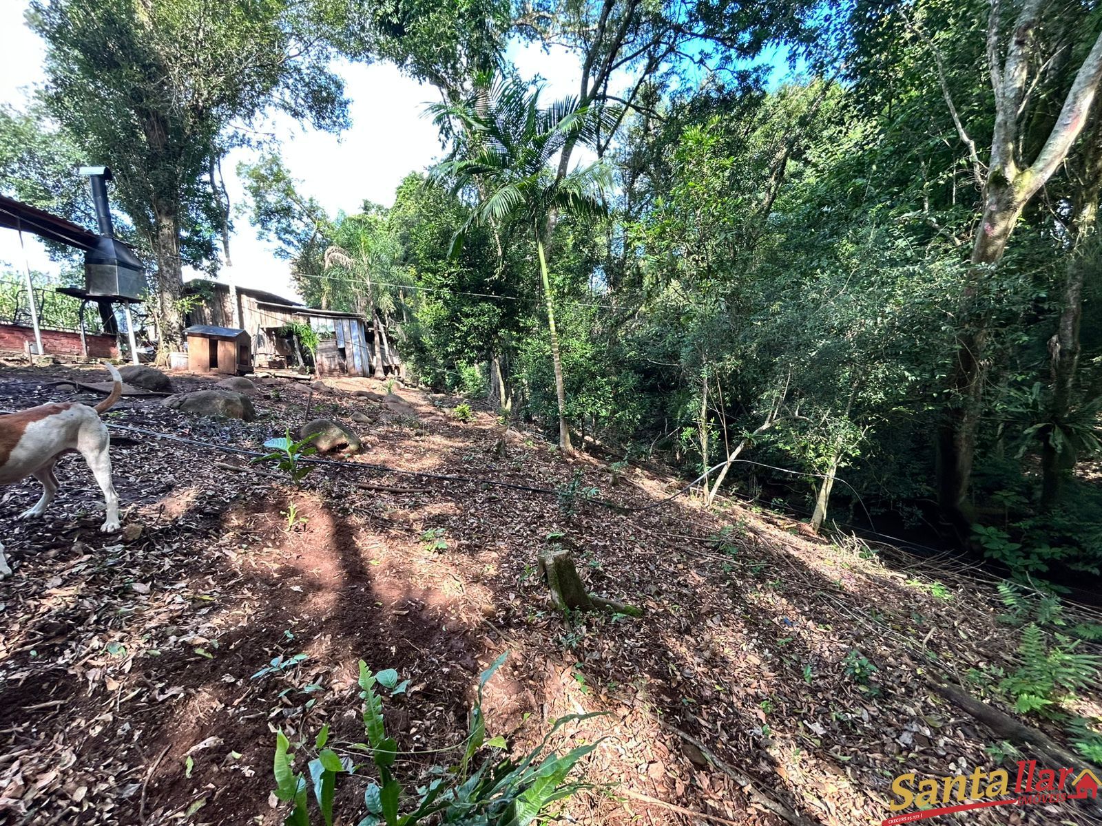 Chácara, 1 quarto, 6000 m² - Foto 21