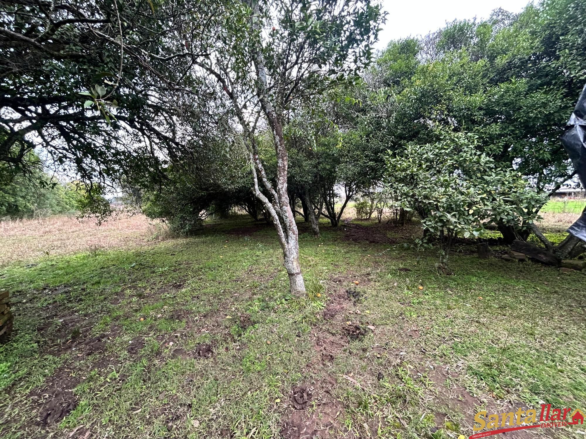 Chácara à venda com 2 quartos, 190m² - Foto 11