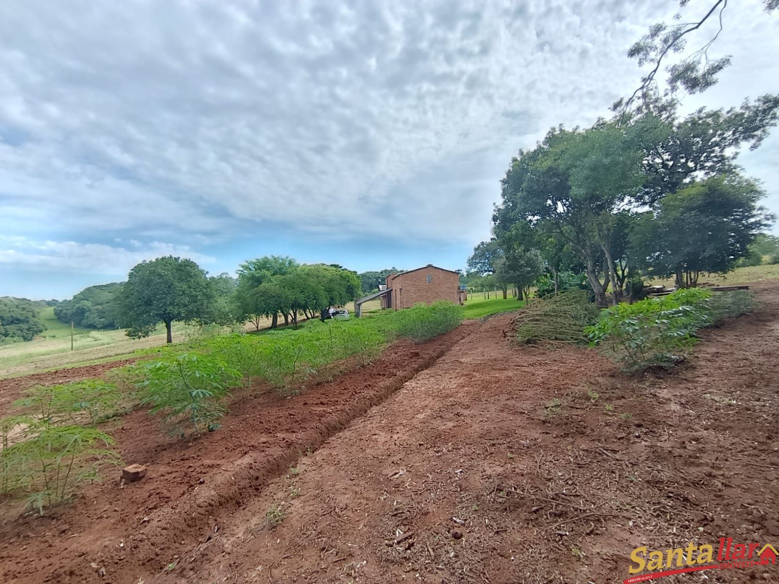 Chácara, 4 hectares - Foto 13