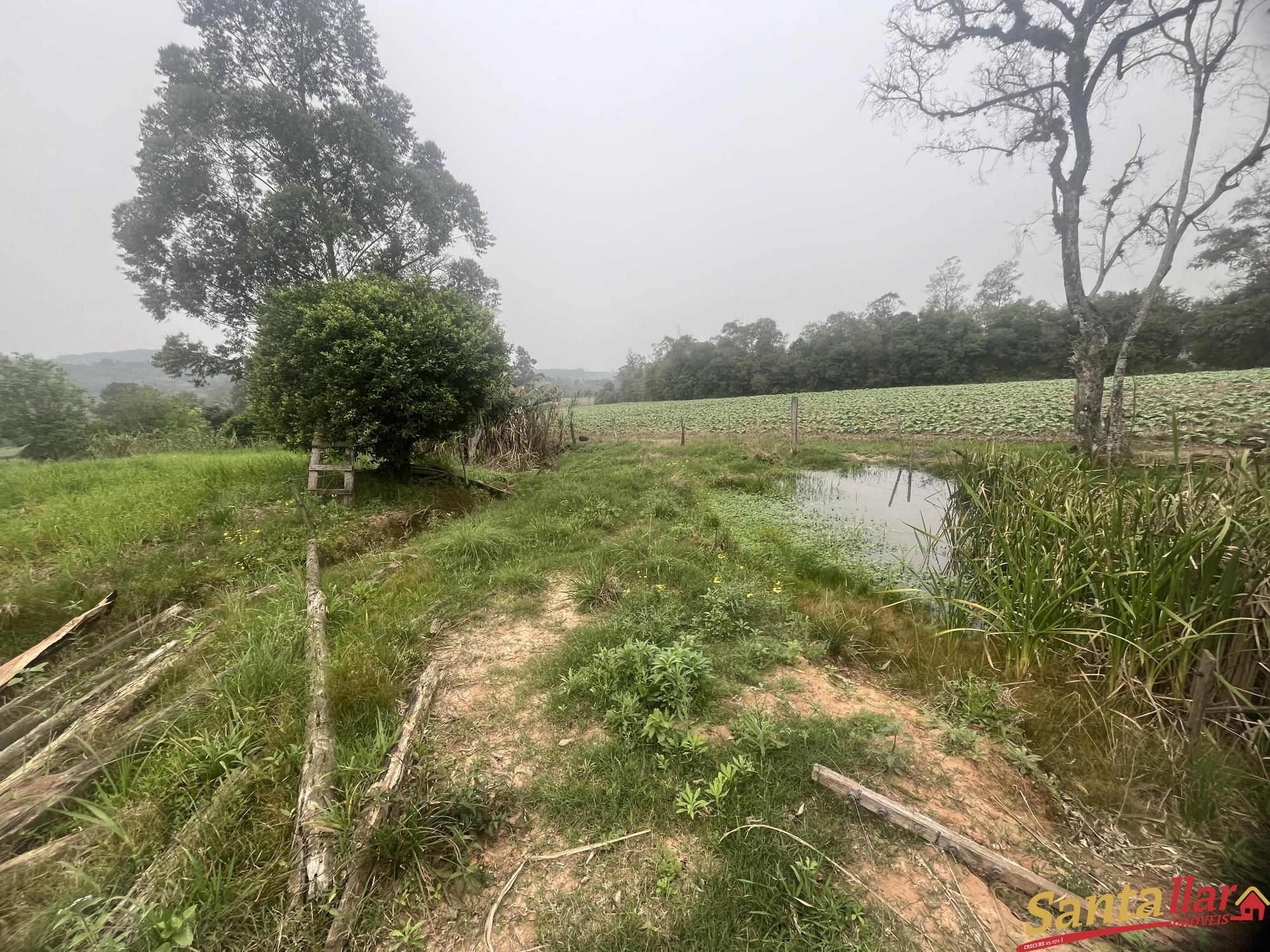 Fazenda/stio/chcara/haras  venda  no Cerro Alegre Baixo - Santa Cruz do Sul, RS. Imveis