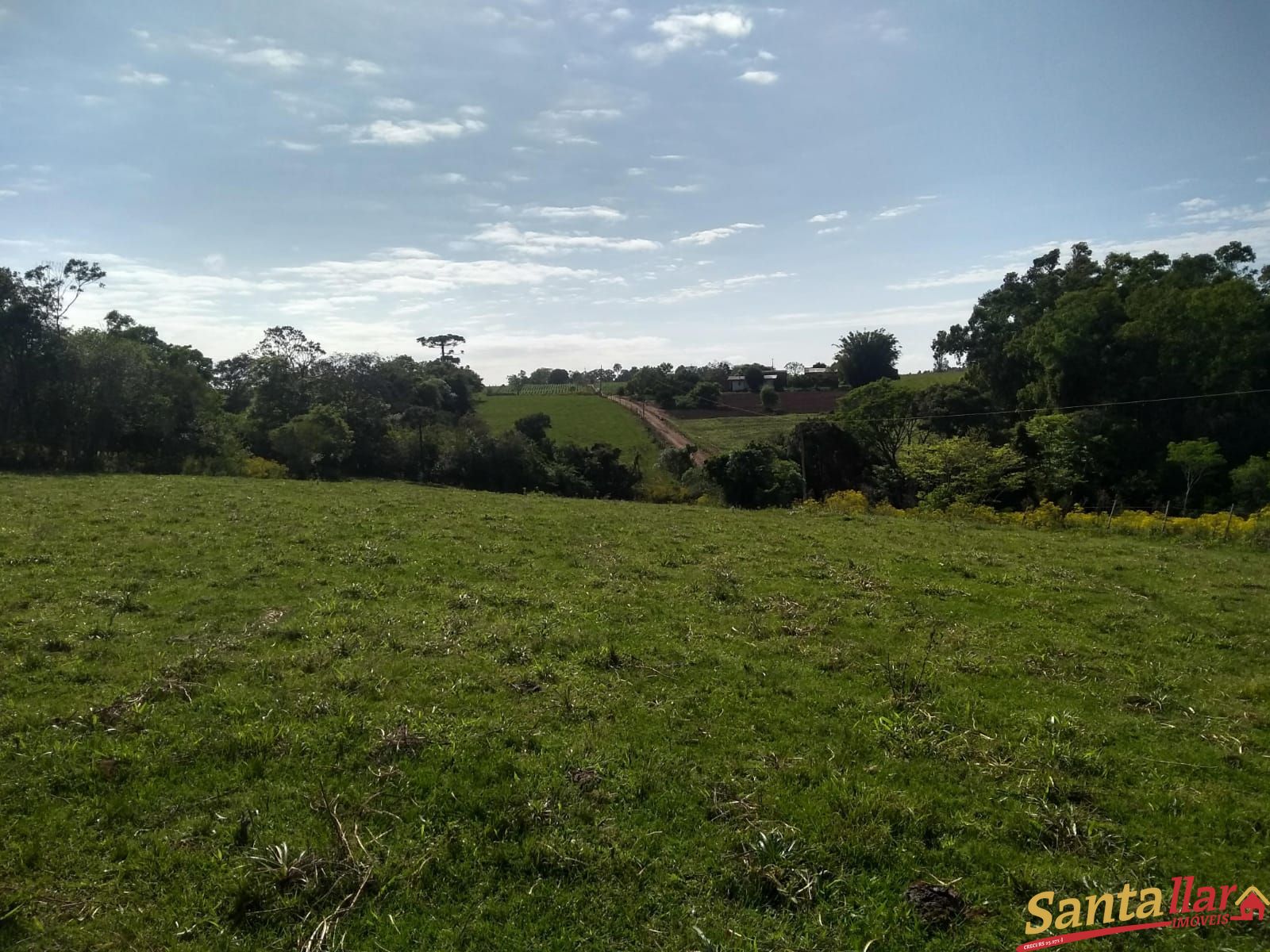 Fazenda à venda com 3 quartos, 833330000m² - Foto 21