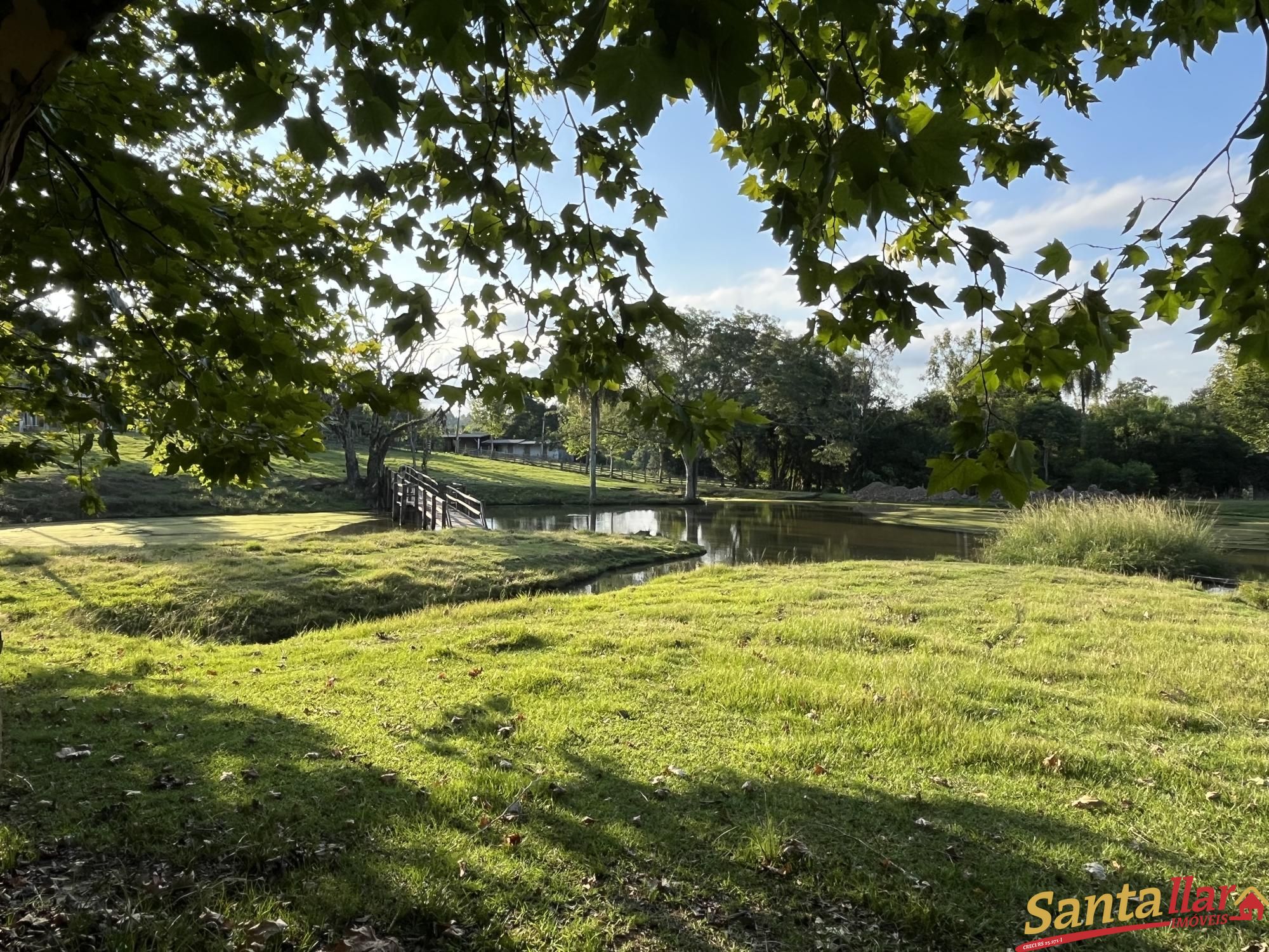 Chácara, 7 quartos, 21 hectares - Foto 6