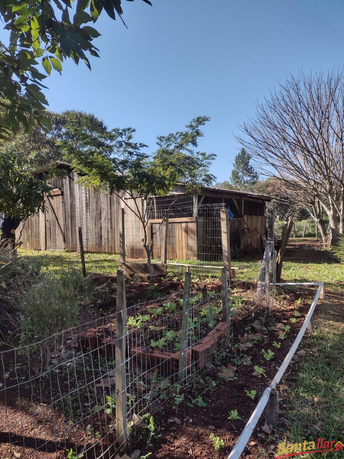 Fazenda à venda com 2 quartos, 146m² - Foto 36