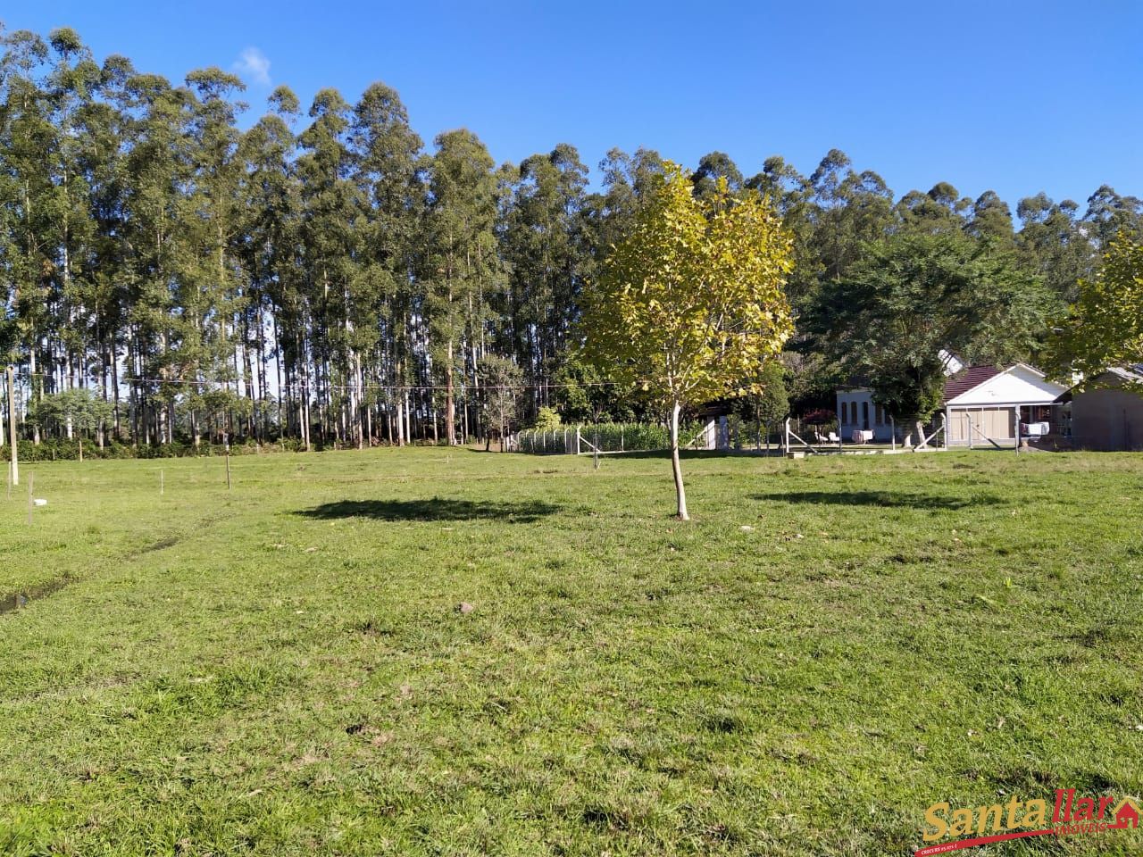 Fazenda à venda com 3 quartos, 200m² - Foto 21