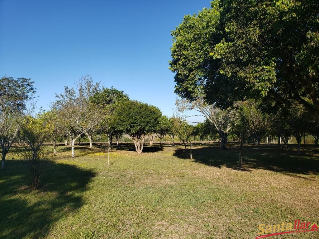 Fazenda à venda com 3 quartos, 130m² - Foto 12