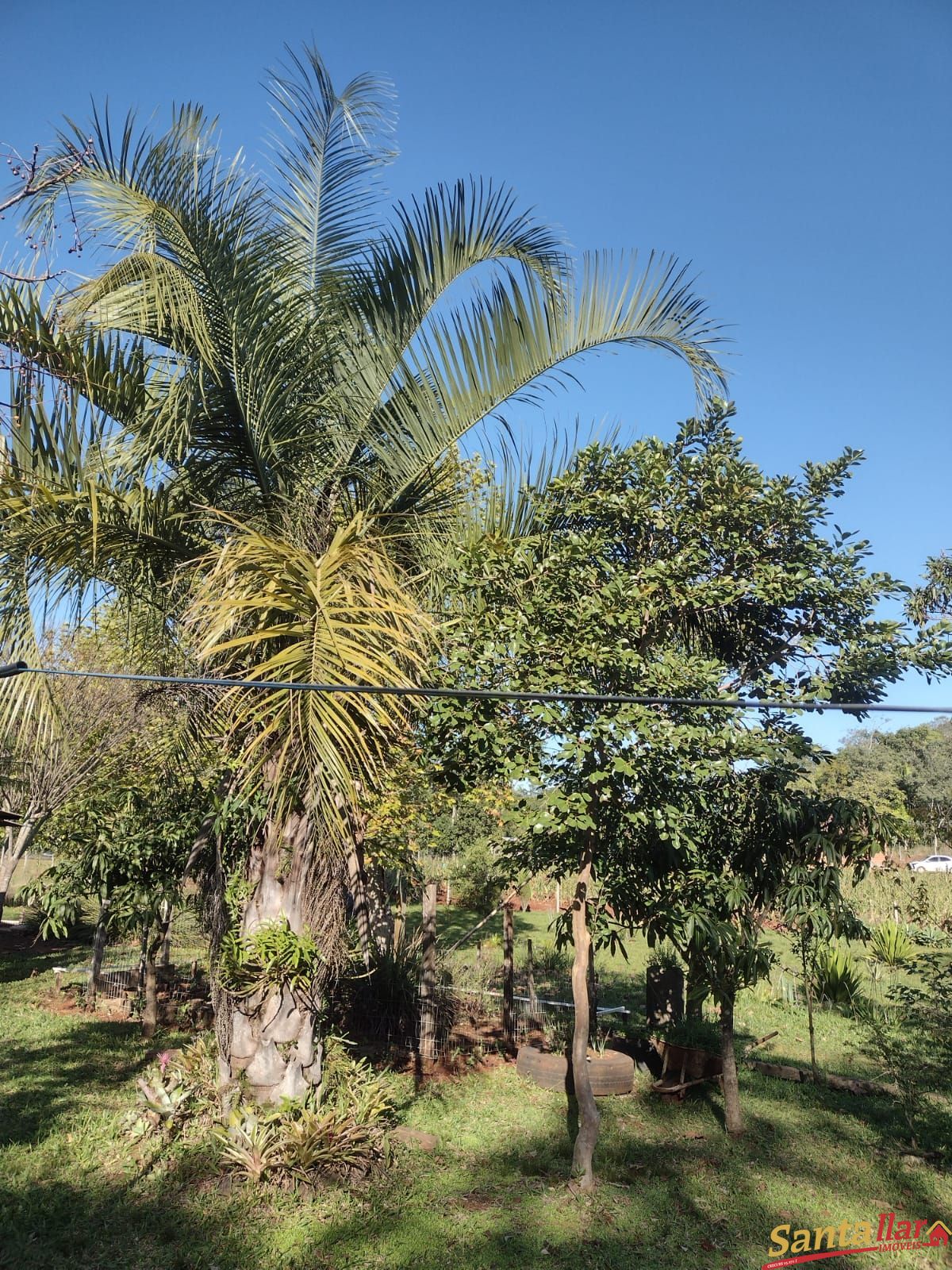 Fazenda à venda com 2 quartos, 146m² - Foto 12