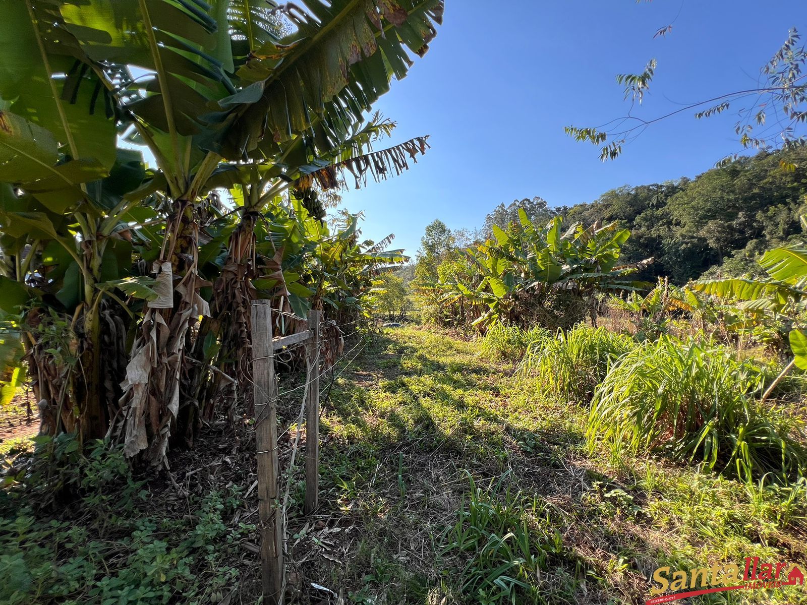 Fazenda à venda com 3 quartos, 200m² - Foto 19