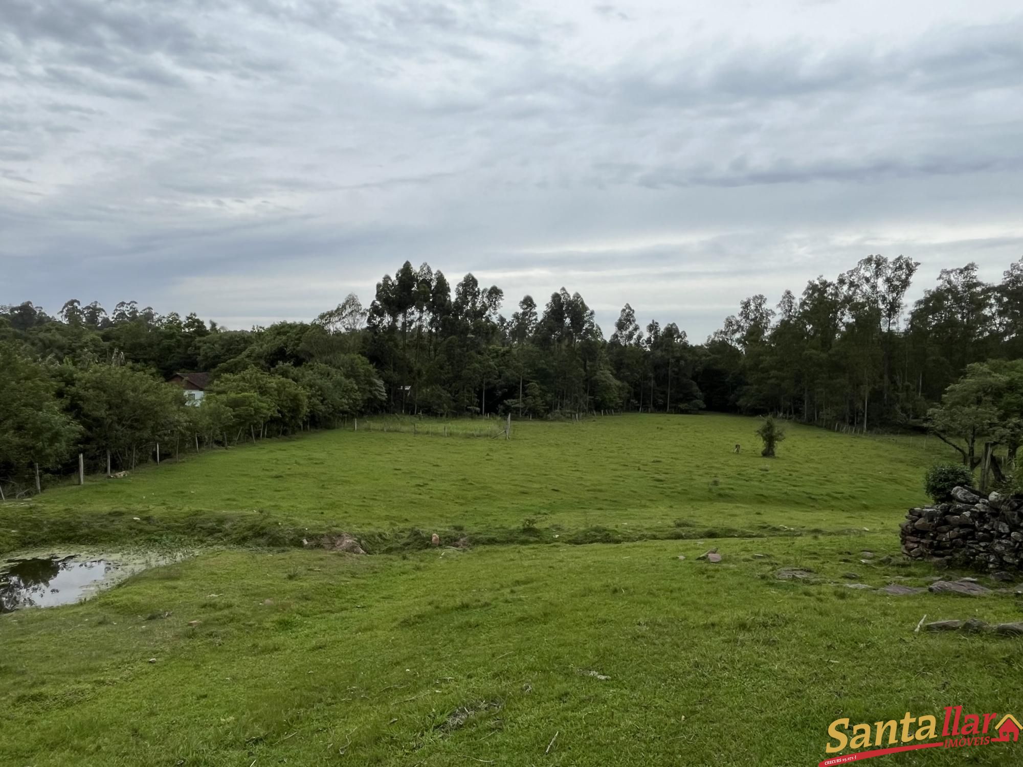 Fazenda à venda com 3 quartos, 130m² - Foto 17