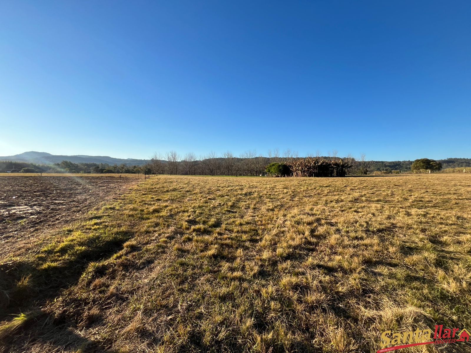 Sítio, 7 hectares - Foto 15