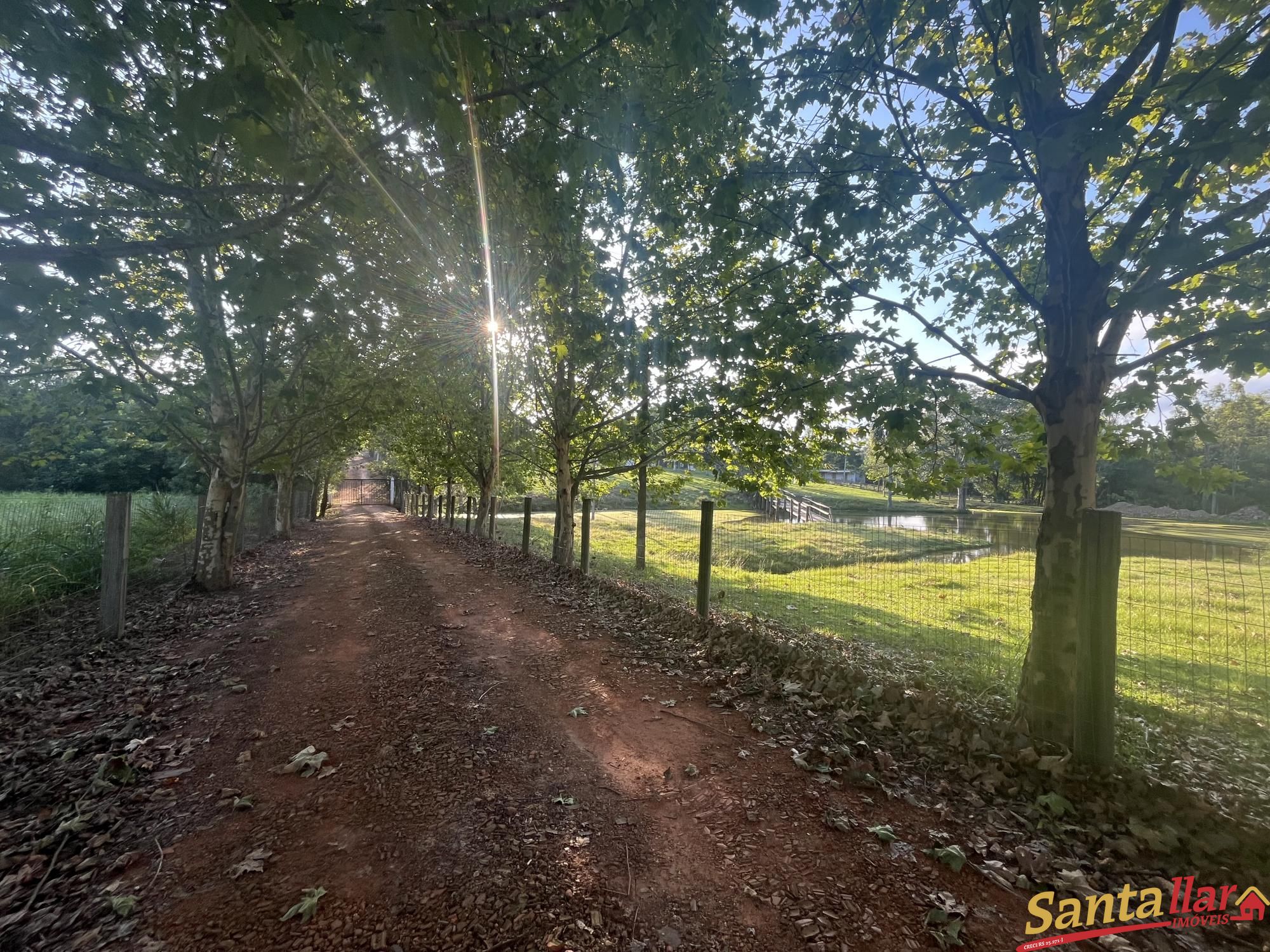 Chácara, 7 quartos, 21 hectares - Foto 7