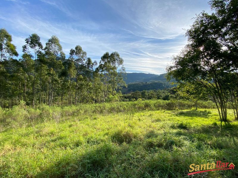 Chácara, 45 hectares - Foto 18