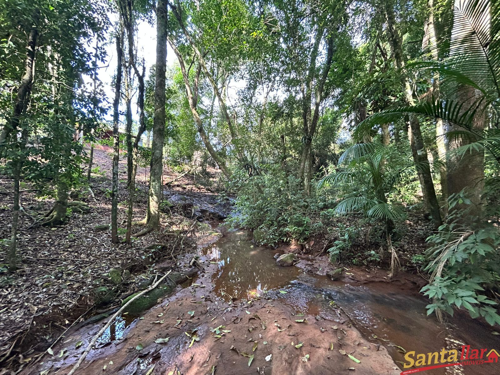 Chácara, 1 quarto, 6000 m² - Foto 20