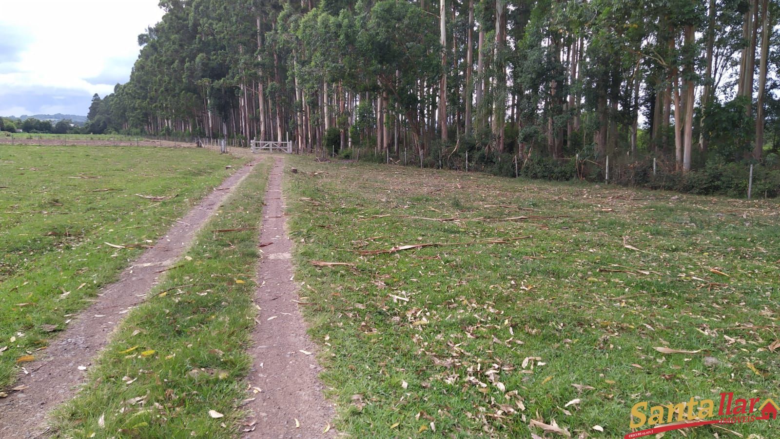 Fazenda à venda com 3 quartos, 200m² - Foto 31