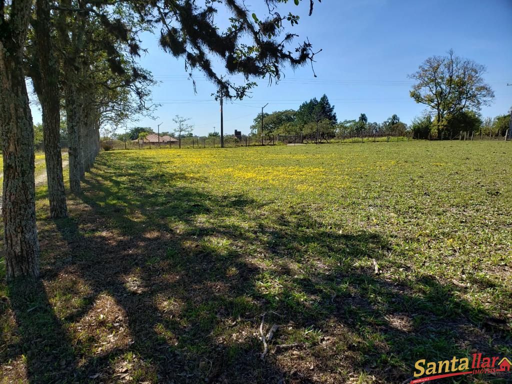 Fazenda à venda com 3 quartos, 130m² - Foto 15