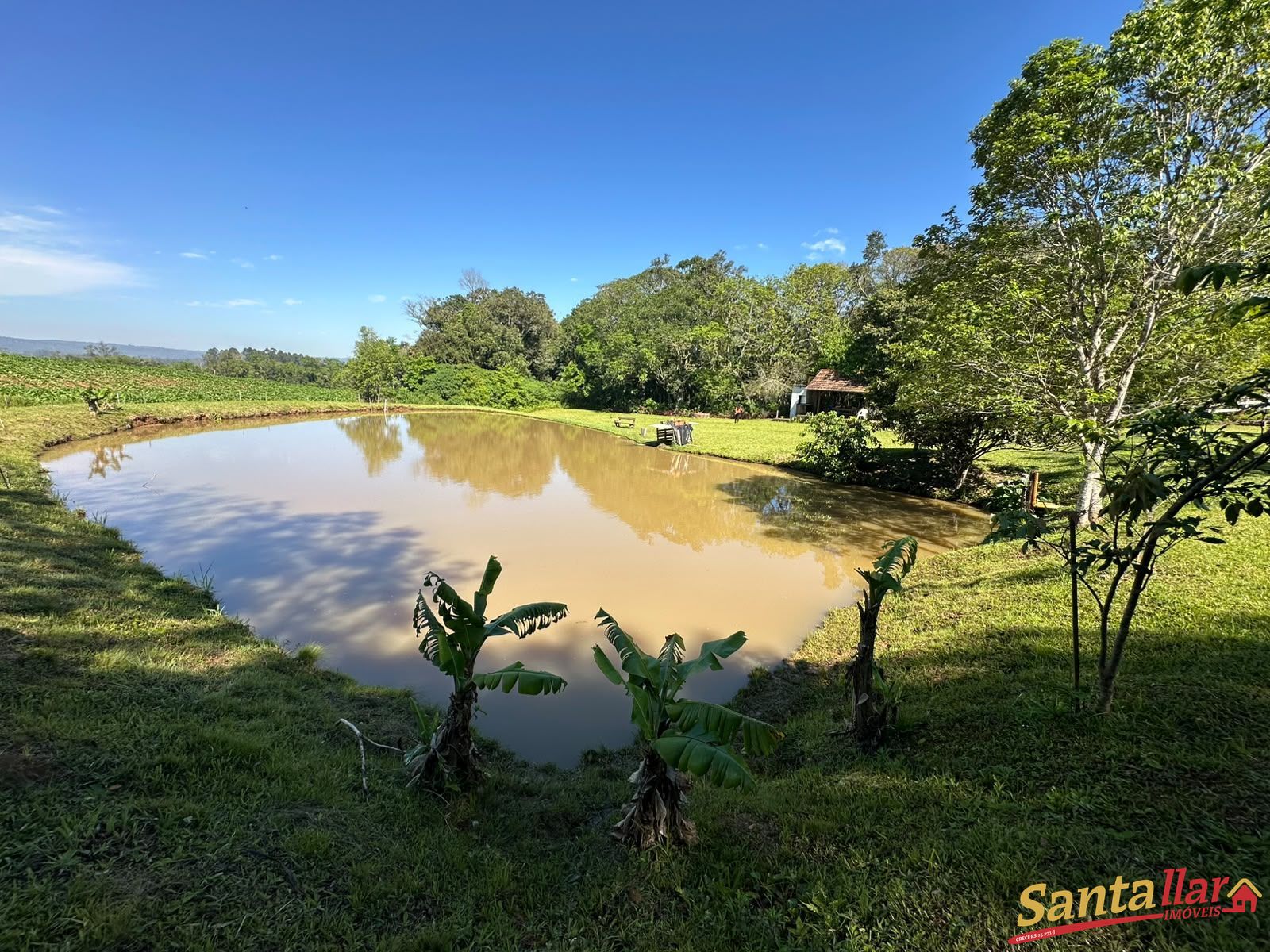 Sítio, 3 quartos, 3 hectares - Foto 14
