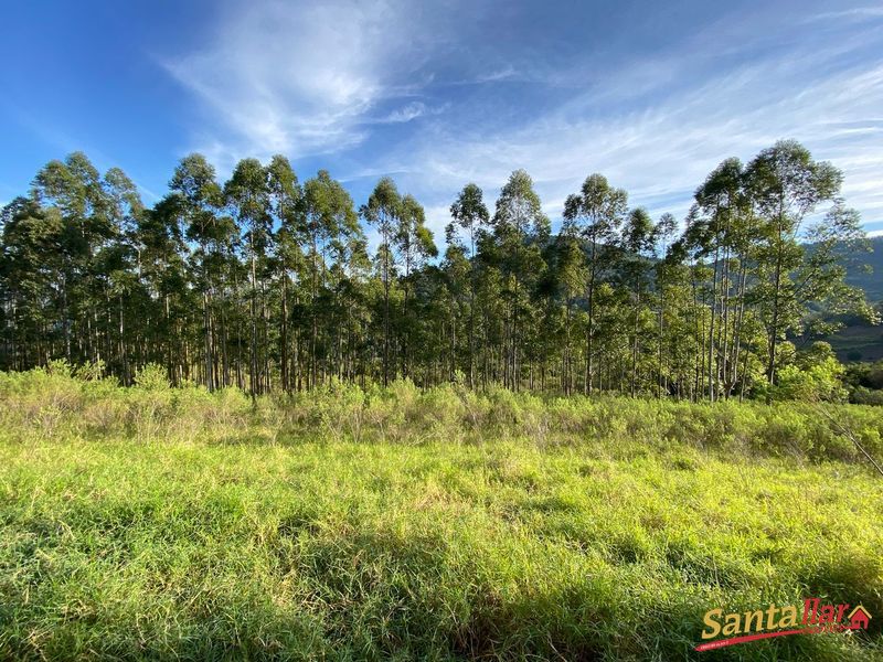 Chácara, 45 hectares - Foto 15