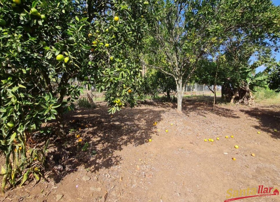 Fazenda à venda com 3 quartos, 10000m² - Foto 22