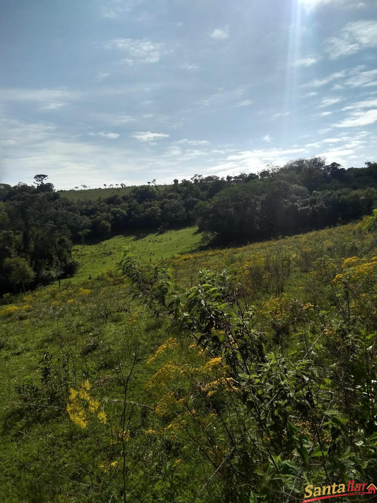 Fazenda à venda com 3 quartos, 833330000m² - Foto 24