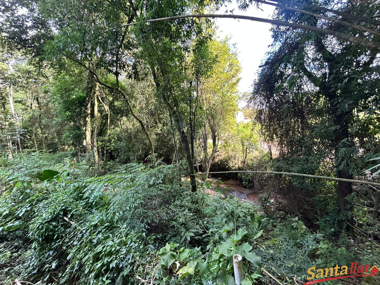 Chácara, 1 quarto, 6000 m² - Foto 33