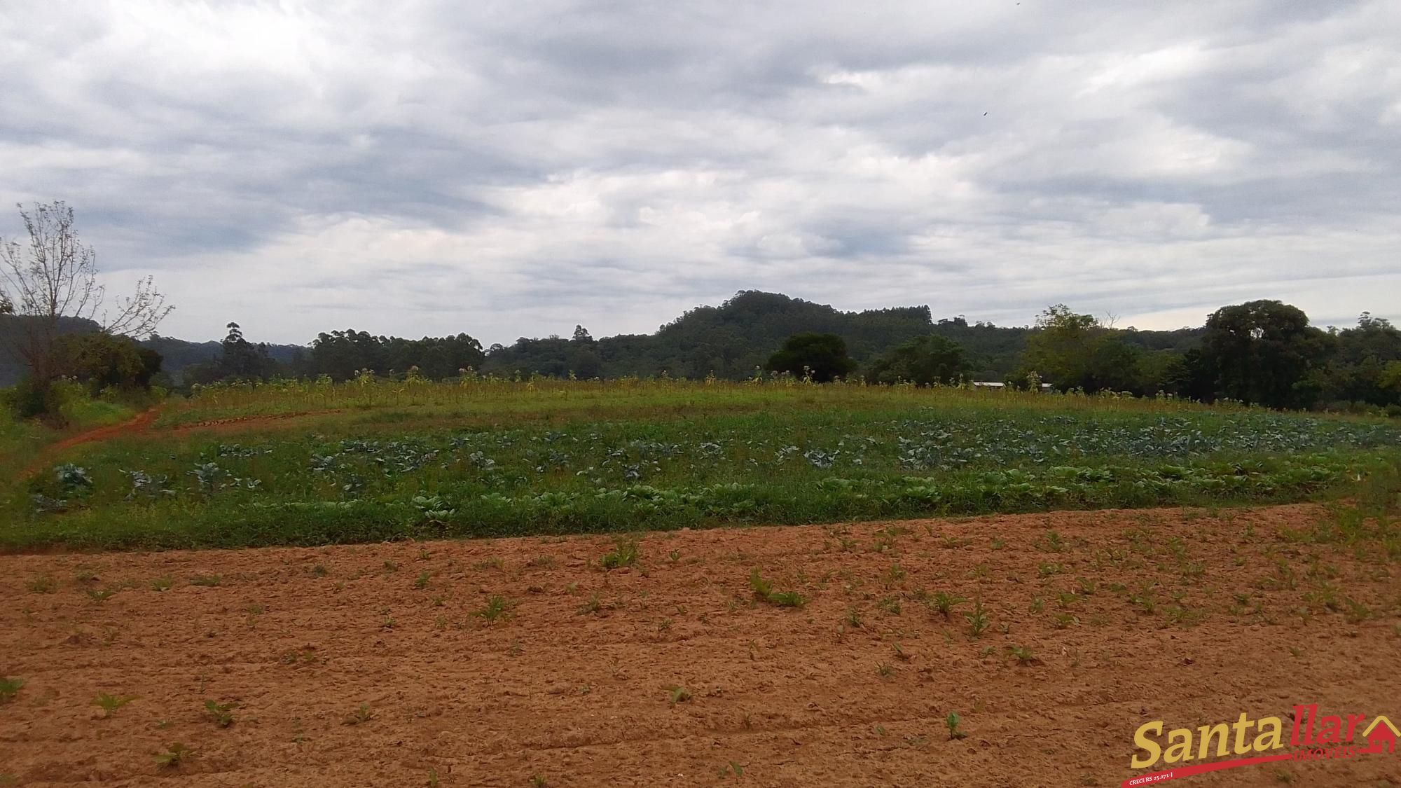 Fazenda à venda com 4 quartos, 179m² - Foto 8