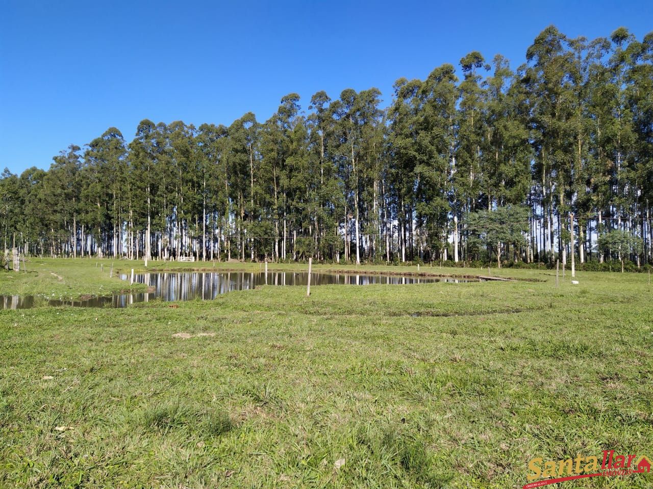 Fazenda à venda com 3 quartos, 200m² - Foto 23