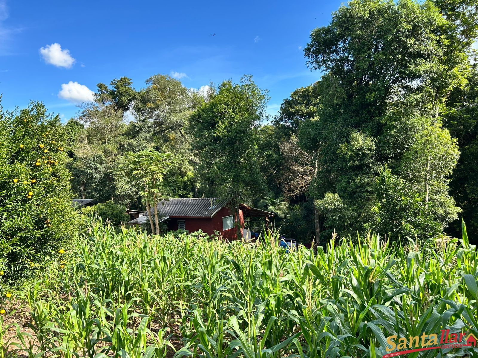 Chácara, 1 quarto, 6000 m² - Foto 24