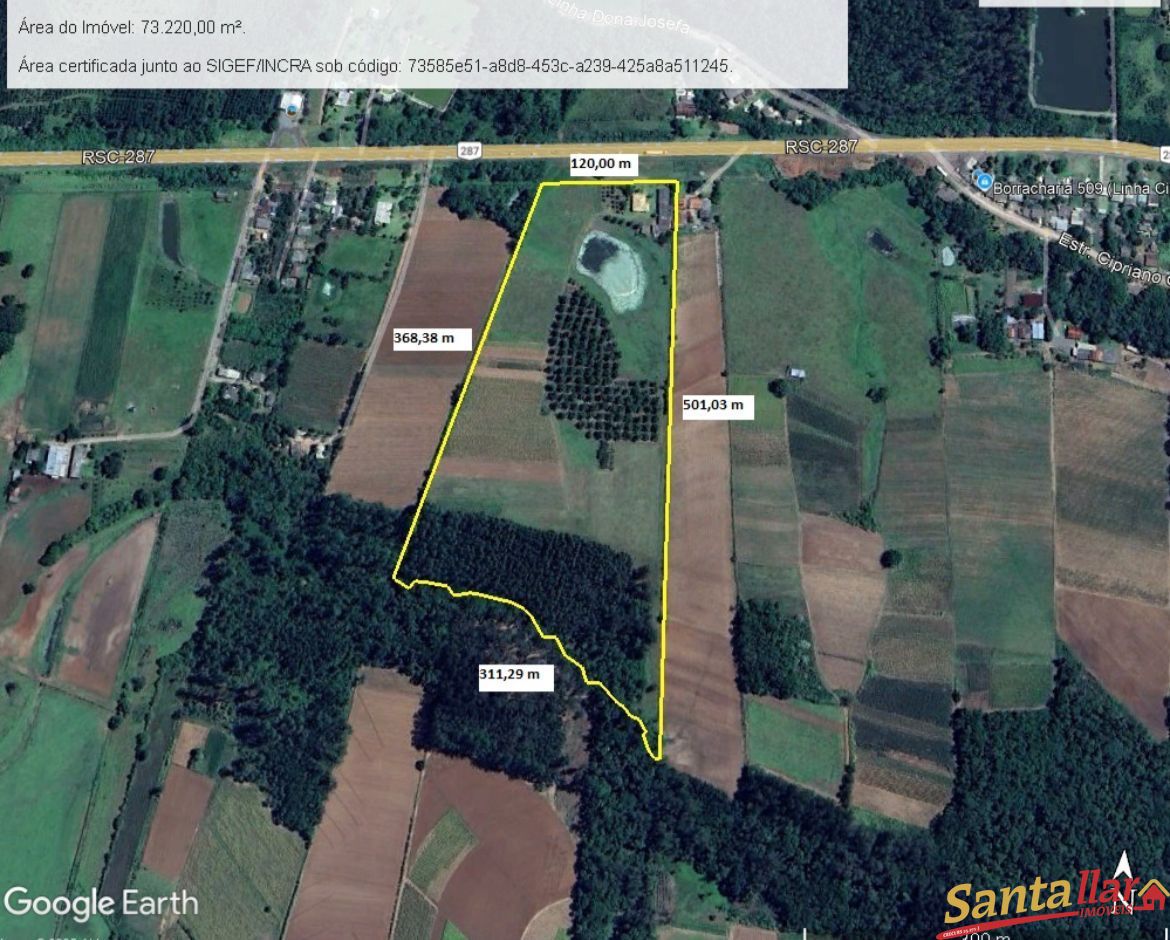 Sítio, 7 hectares - Foto 12