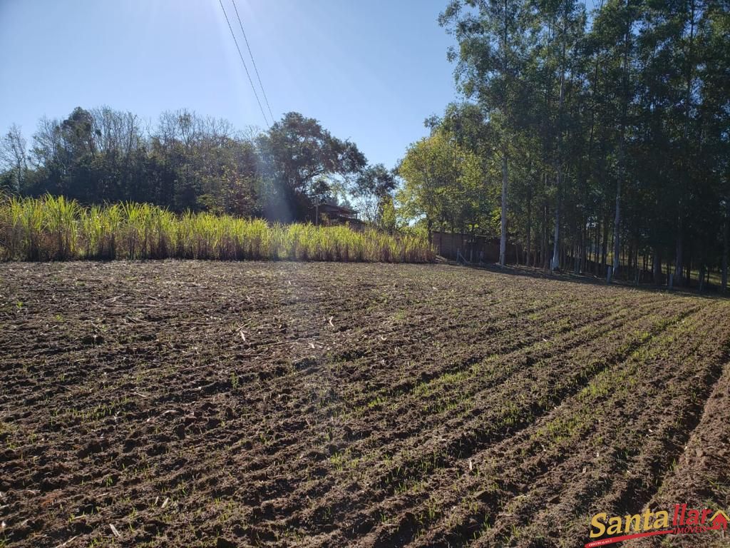 Fazenda à venda com 3 quartos, 130m² - Foto 17