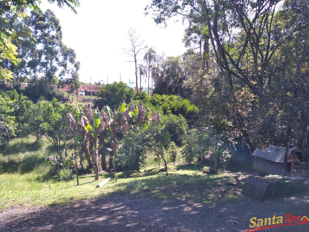 Fazenda à venda com 3 quartos, 140m² - Foto 38