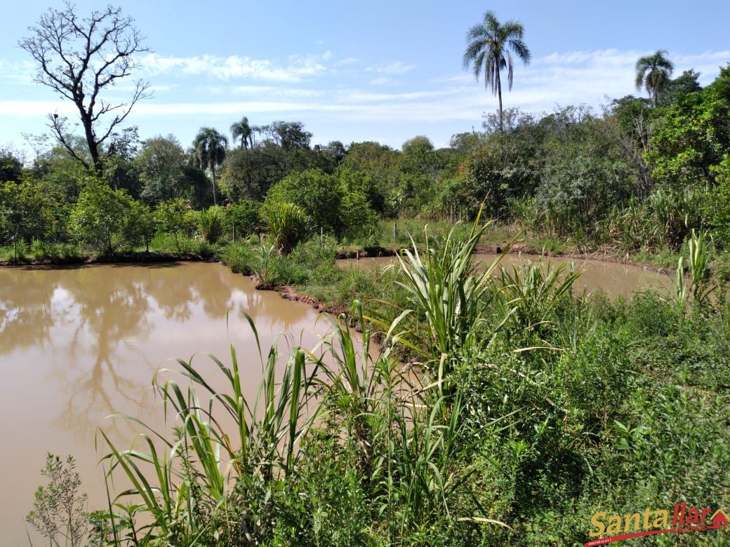 Fazenda à venda com 3 quartos, 140m² - Foto 34