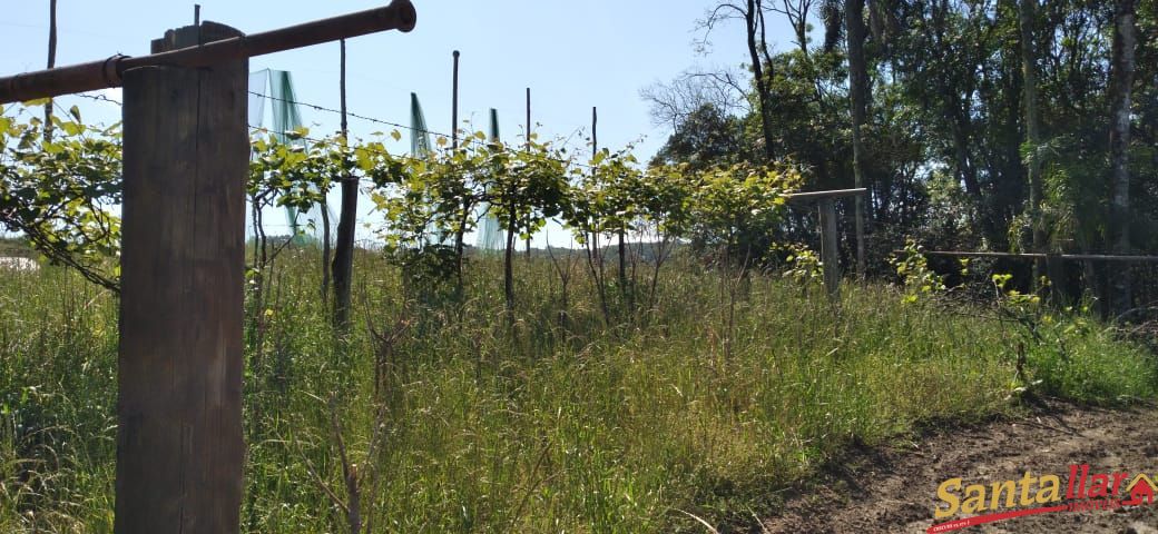 Fazenda à venda com 3 quartos, 140m² - Foto 35