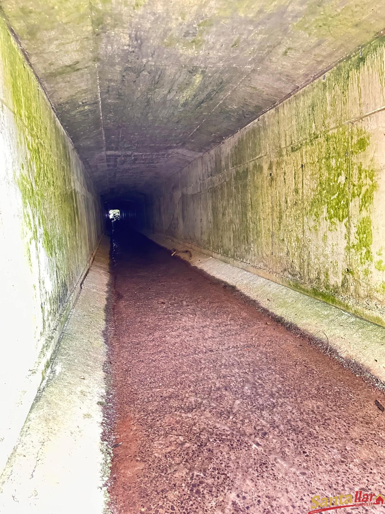 Fazenda à venda, 850000m² - Foto 12