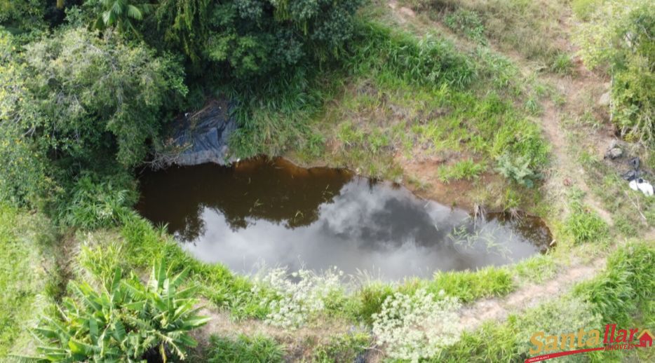 Fazenda à venda com 3 quartos, 10000m² - Foto 18