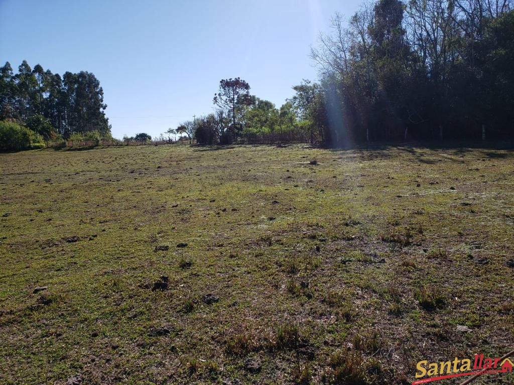 Fazenda à venda com 3 quartos, 130m² - Foto 18