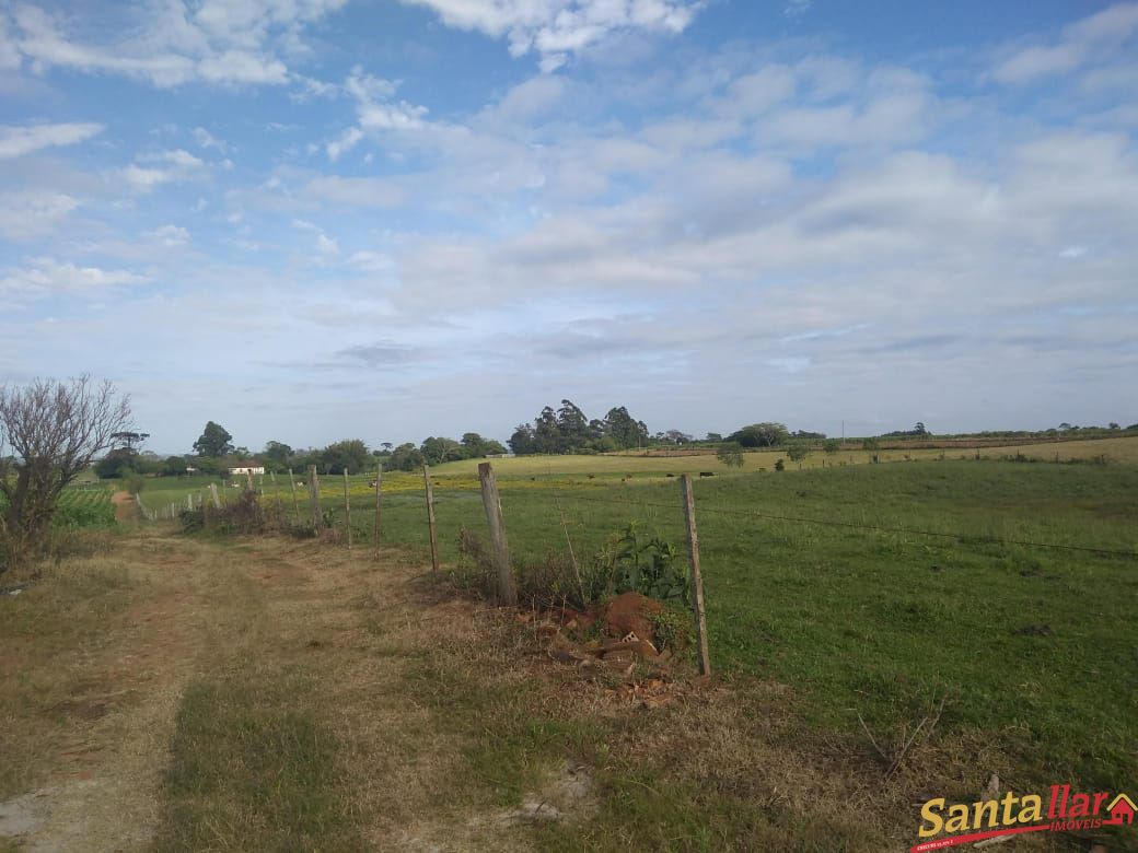 Fazenda à venda com 3 quartos, 833330000m² - Foto 17