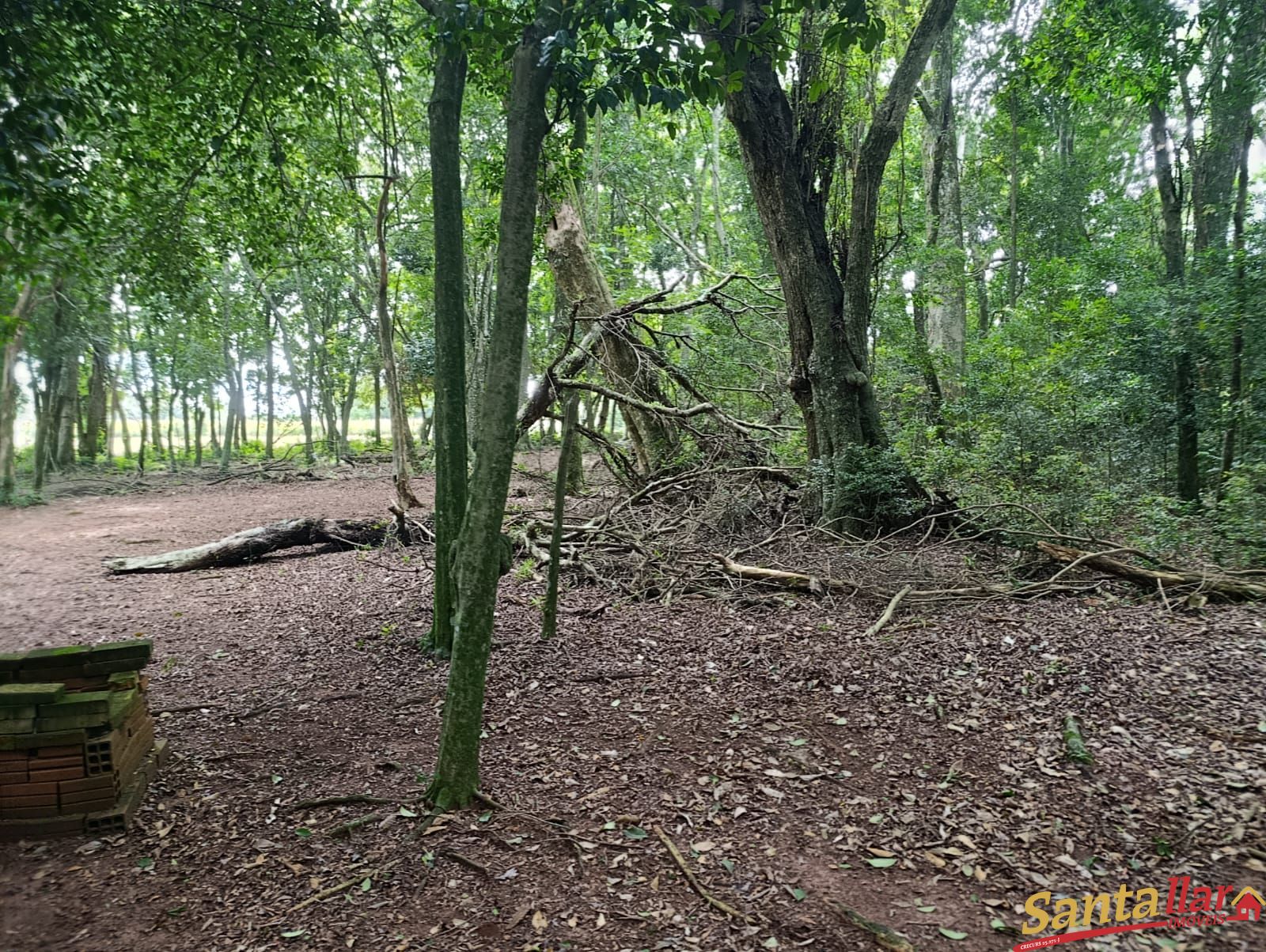 Chácara, 4 hectares - Foto 3