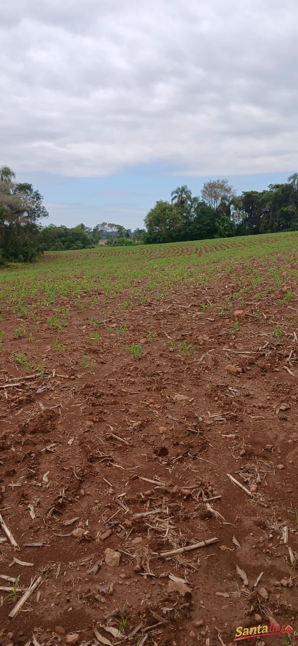 Sítio, 7 hectares - Foto 17