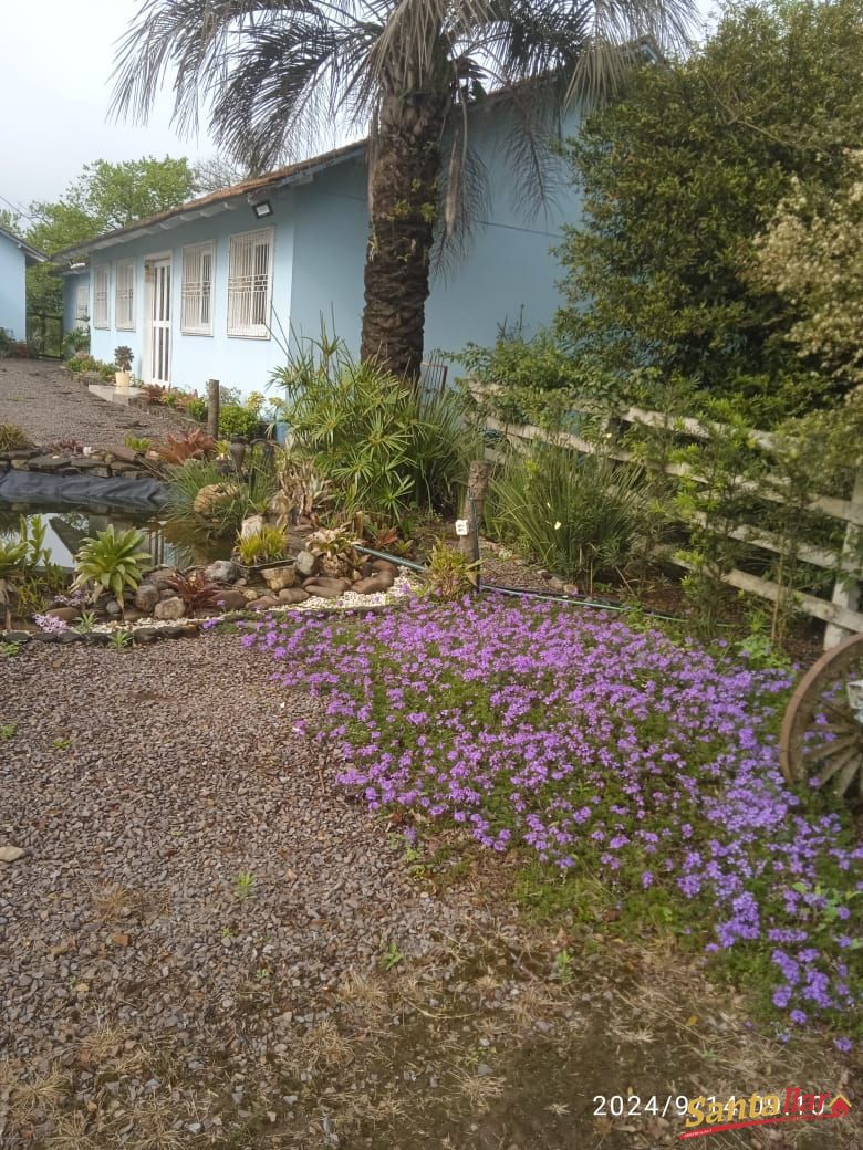 Sítio, 12 quartos, 2 hectares - Foto 11