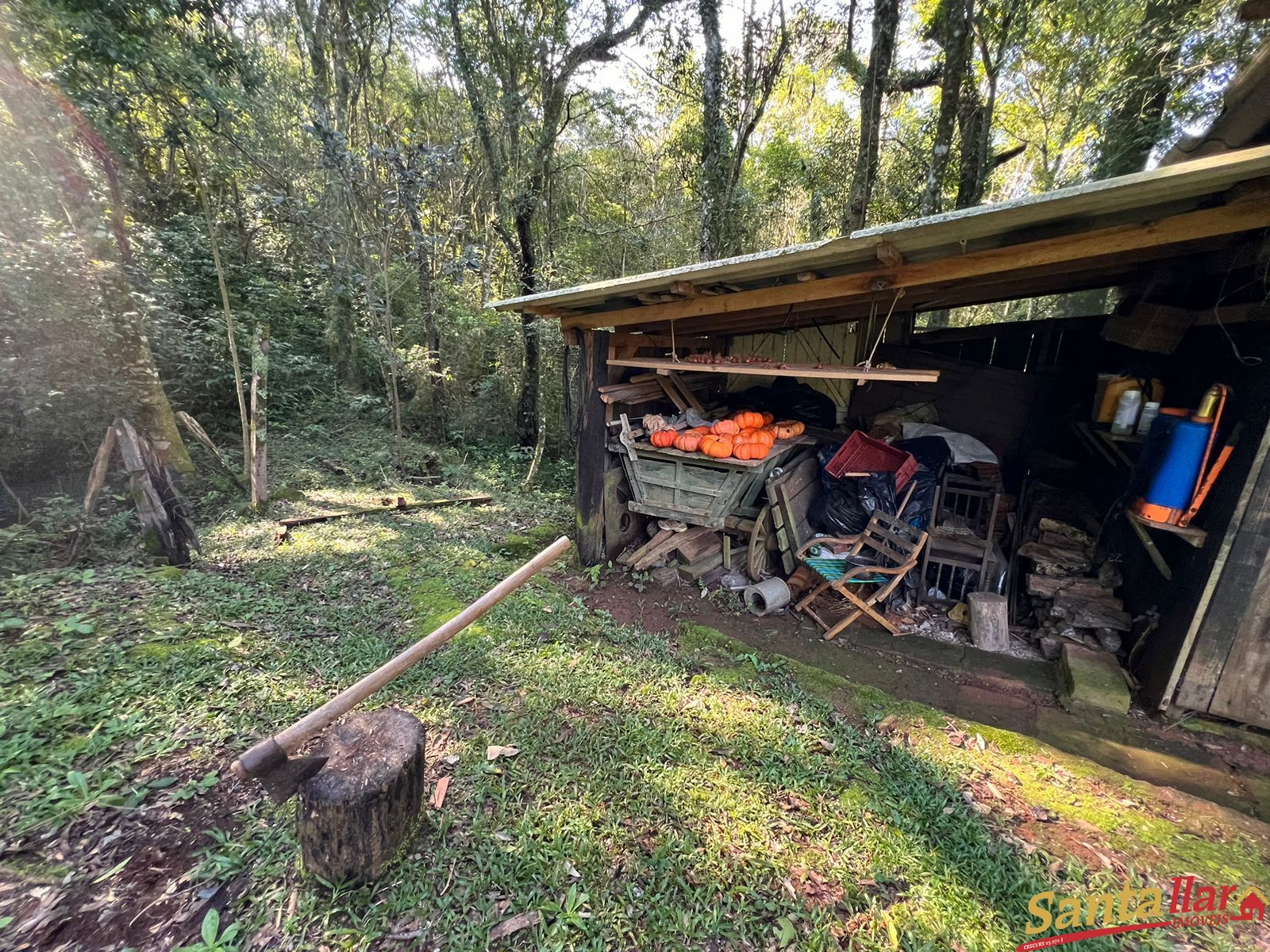 Fazenda à venda com 1 quarto, 10000m² - Foto 13