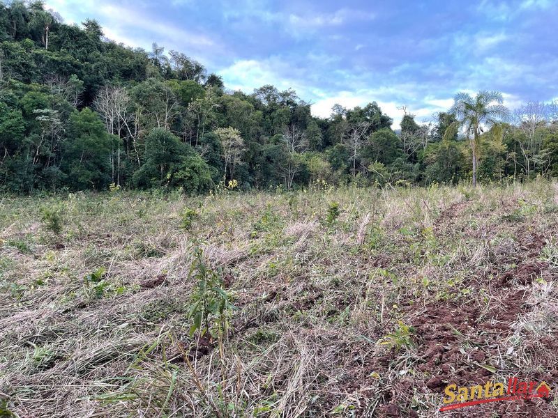Chácara, 45 hectares - Foto 3