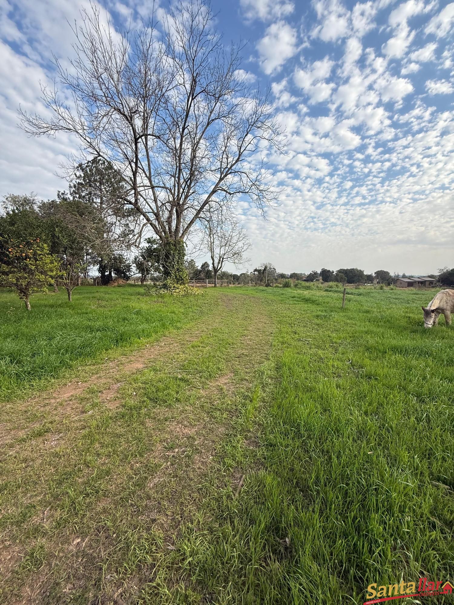 Sítio, 2 quartos, 3 hectares - Foto 6