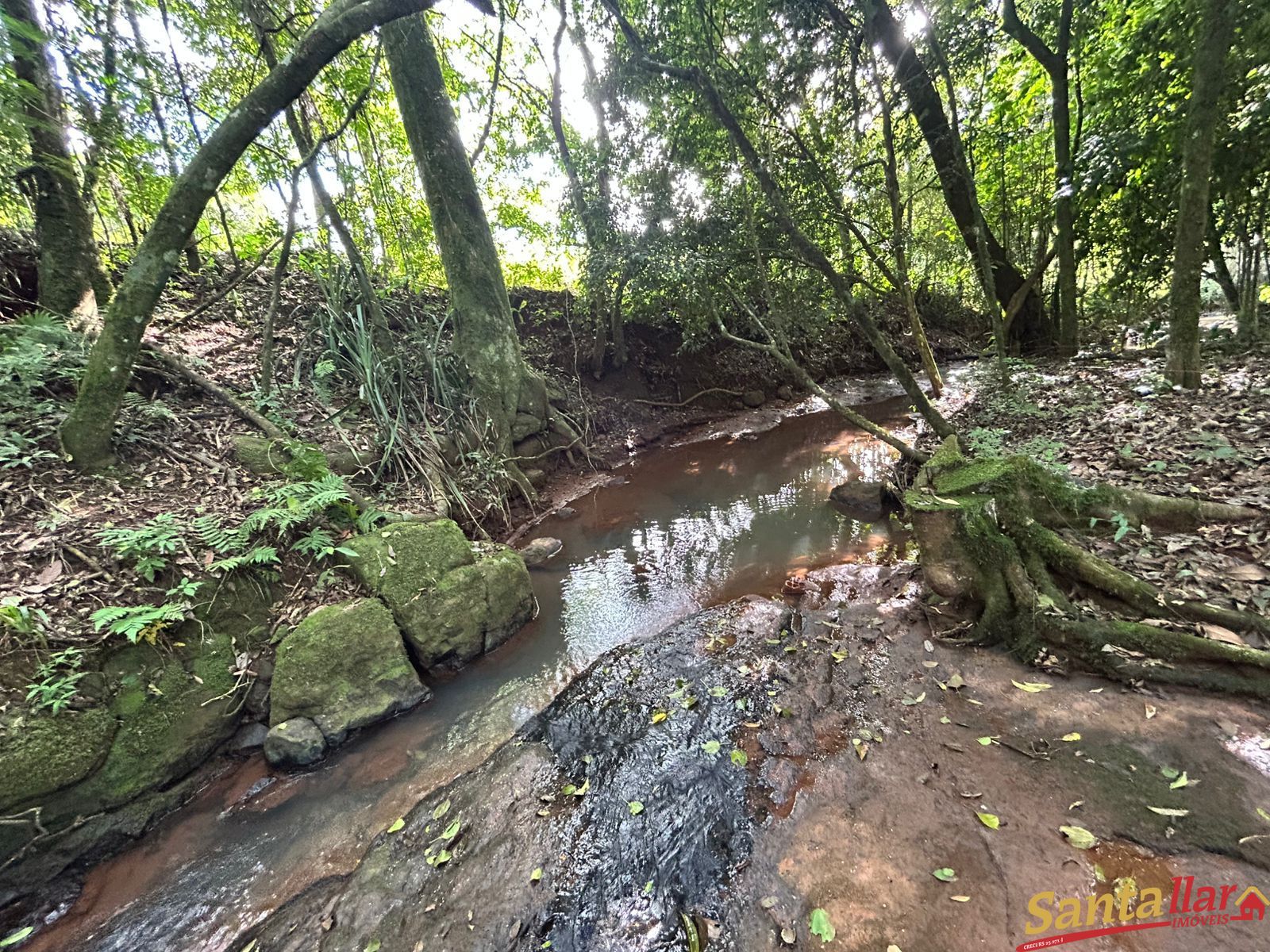 Chácara, 1 quarto, 6000 m² - Foto 19