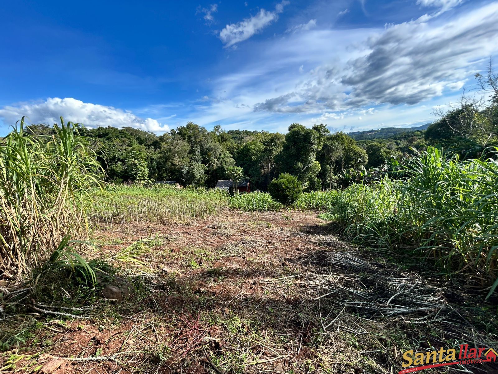 Chácara, 1 quarto, 6000 m² - Foto 29