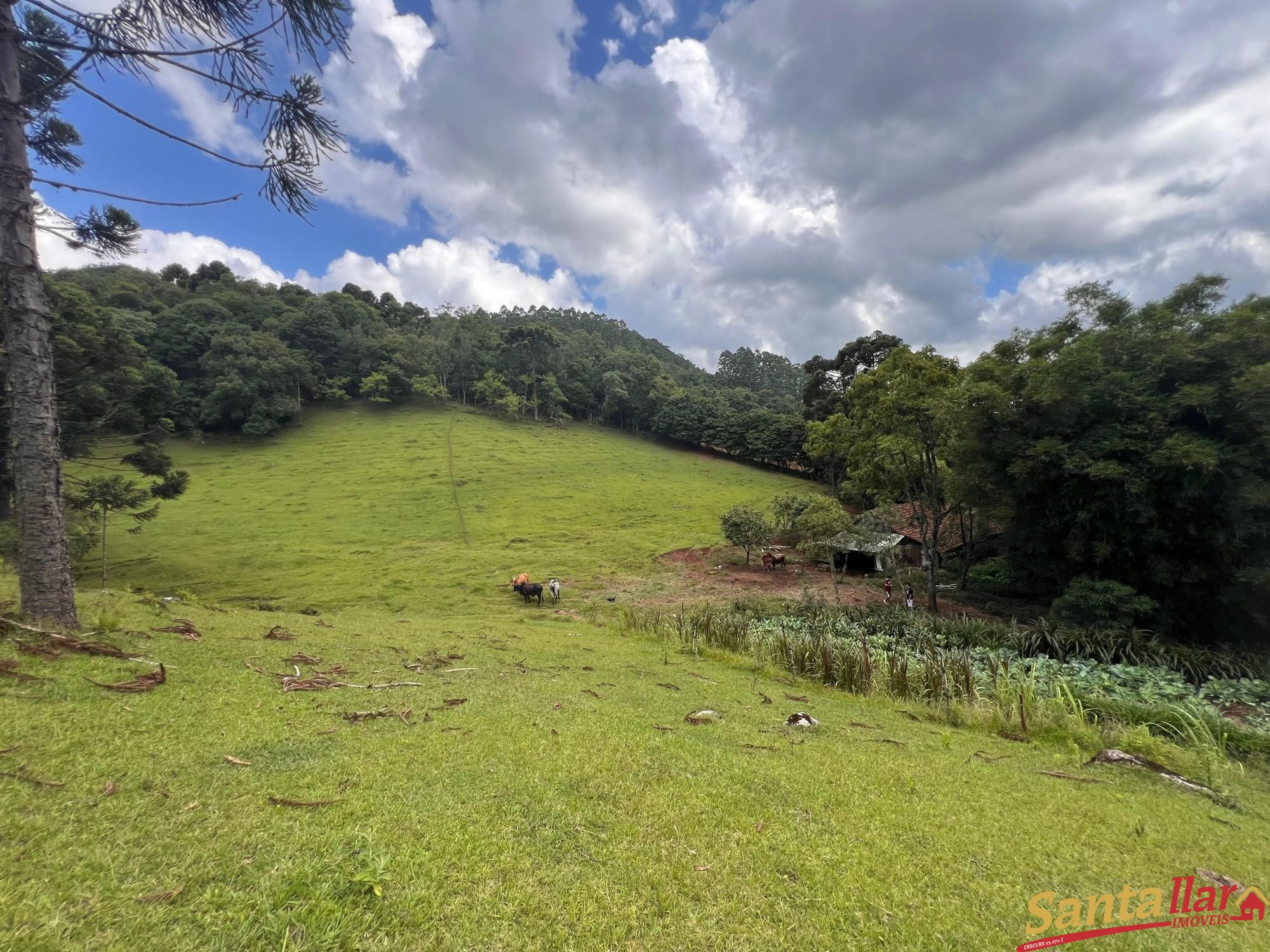 Fazenda à venda com 3 quartos, 130m² - Foto 15