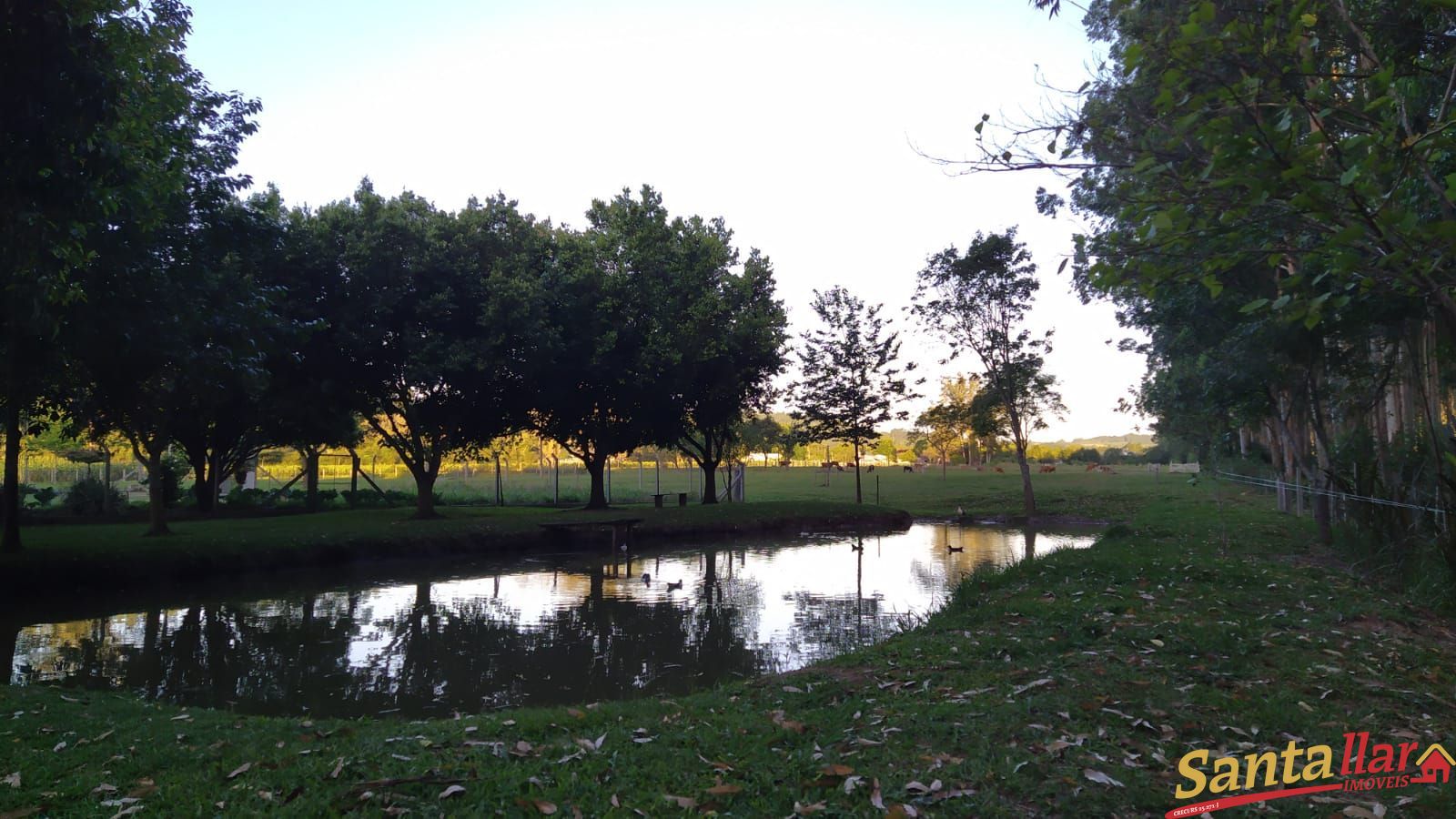 Fazenda à venda com 3 quartos, 200m² - Foto 29