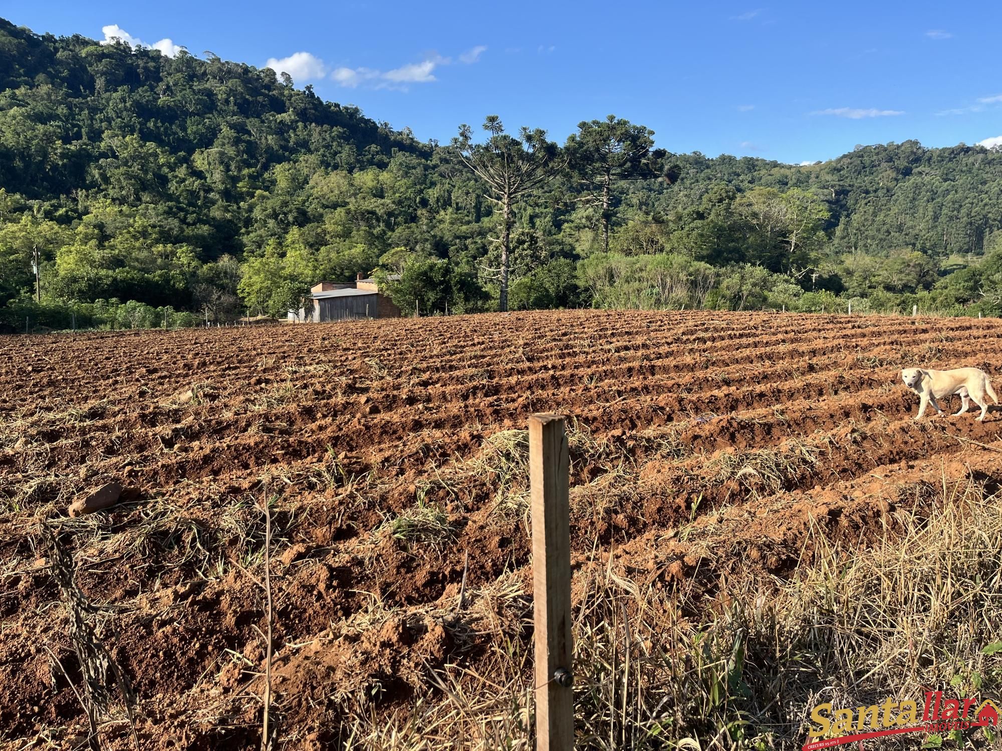 Fazenda à venda com 2 quartos, 96000m² - Foto 17