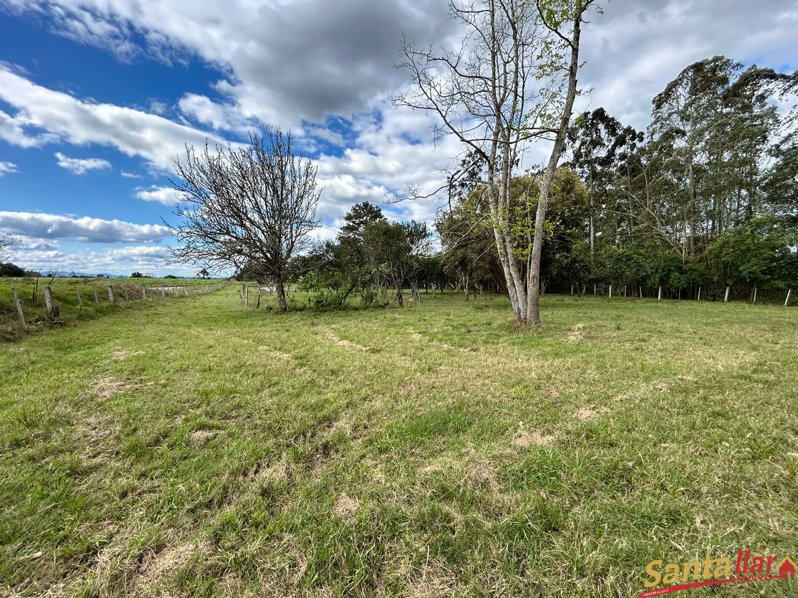 Fazenda à venda, 4m² - Foto 19