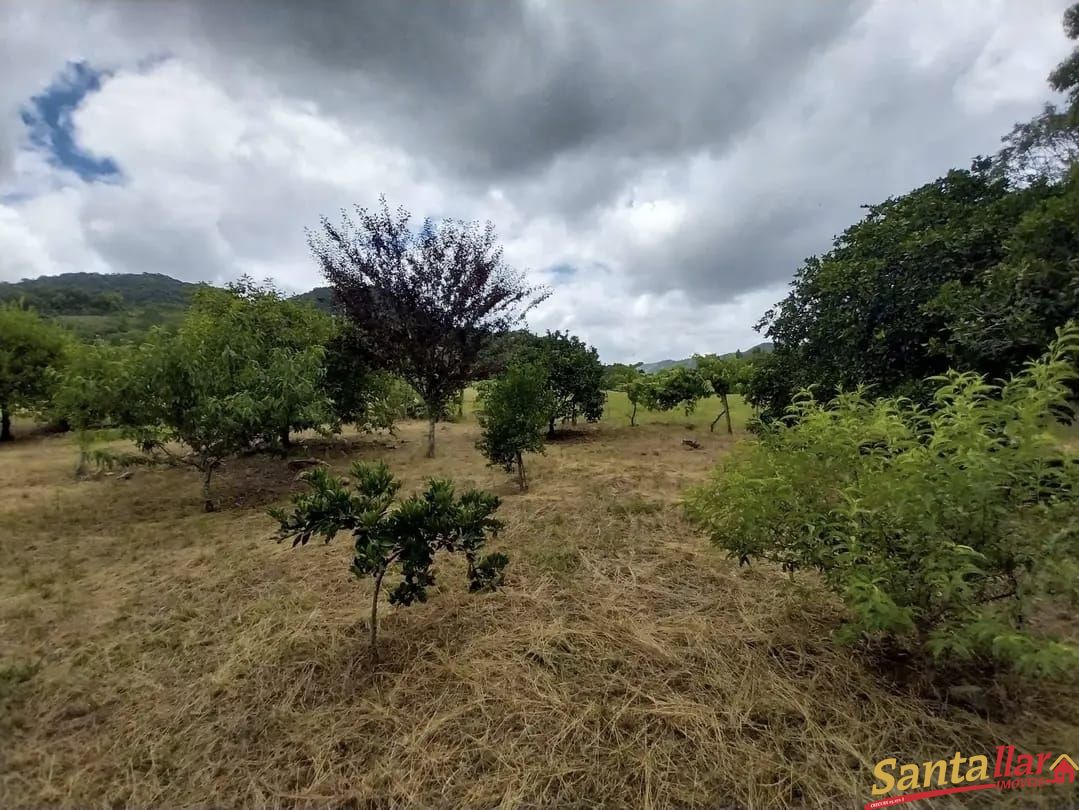 Fazenda/sítio/chácara/haras com 3 Dormitórios à venda, 210 m² por R$ 583.000,00 Fazenda/sítio/chácara/haras com 3 Dormitórios à venda, 210 m² por R$ 583.000,00