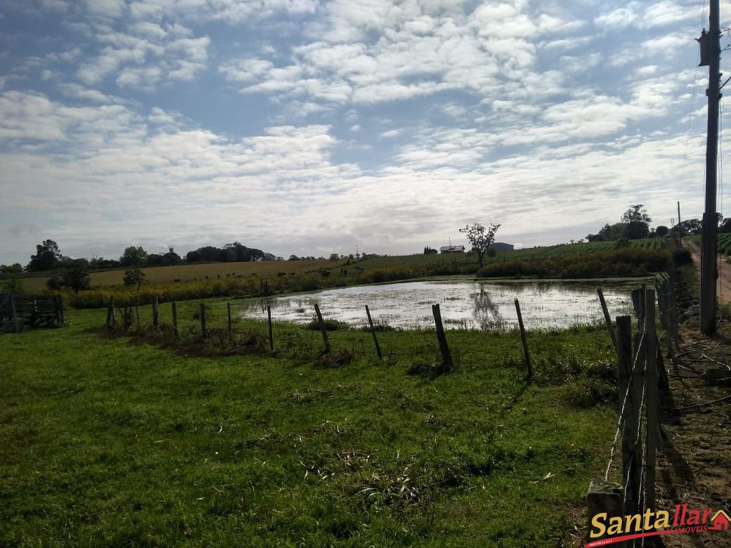 Fazenda à venda com 3 quartos, 833330000m² - Foto 9